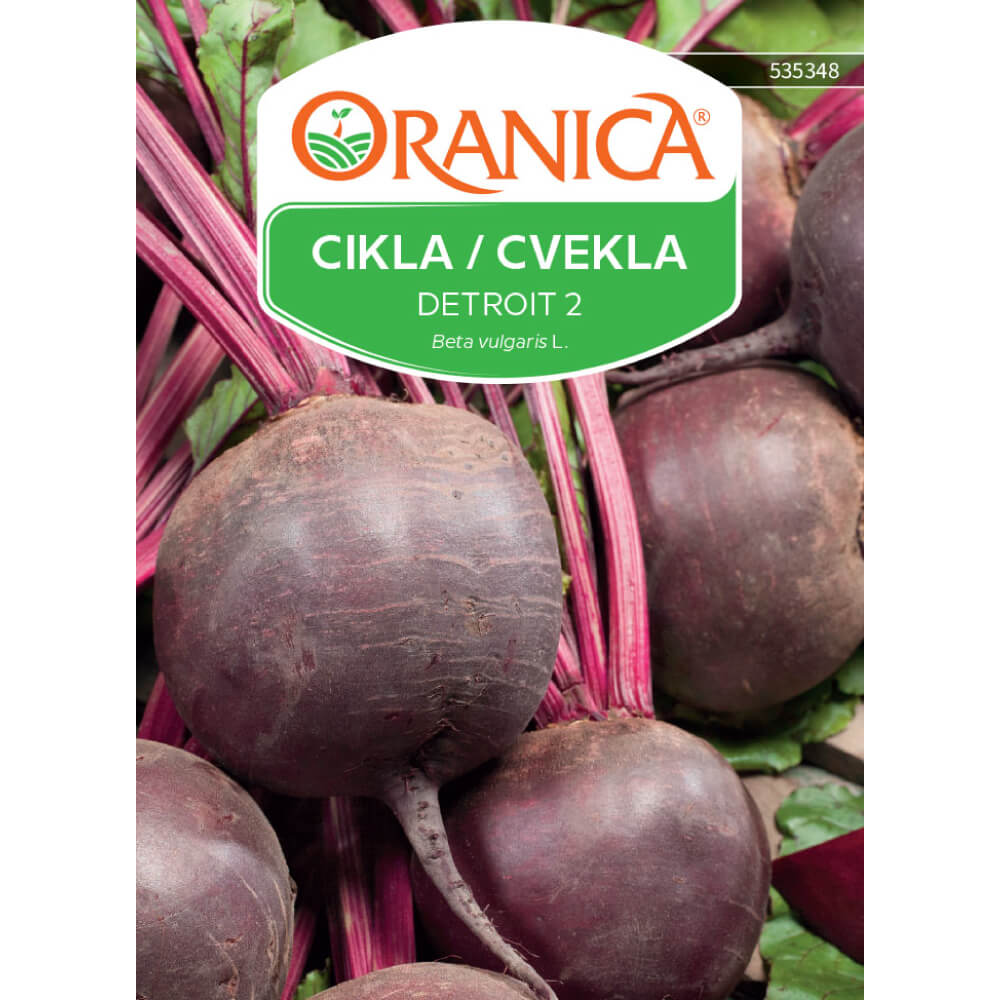Cikla Detroit 2