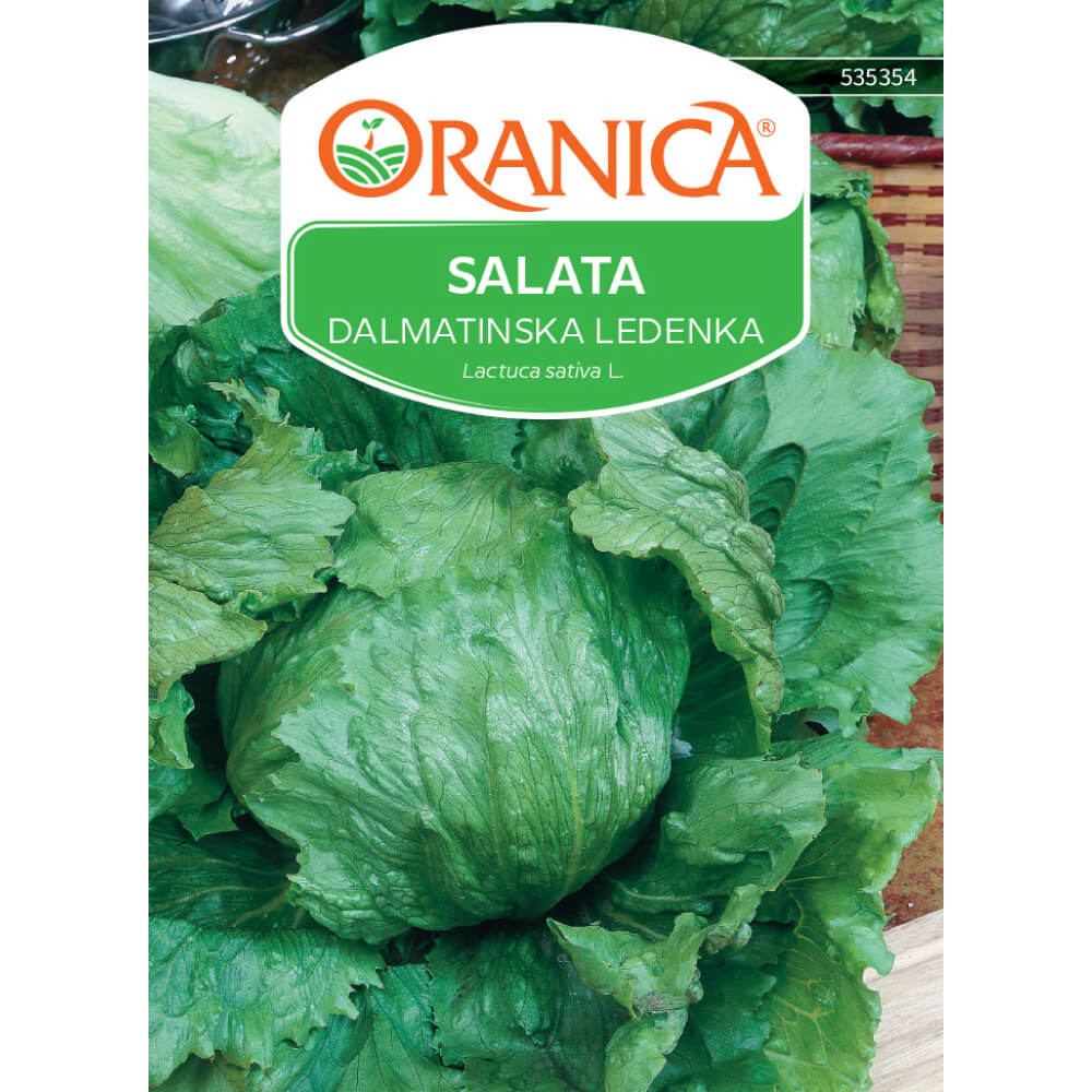 Salata dalmatinska ledena