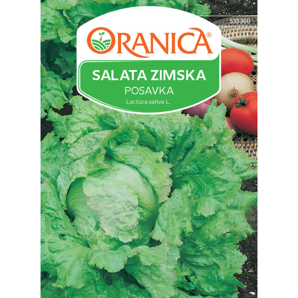 Salata zimska posavska