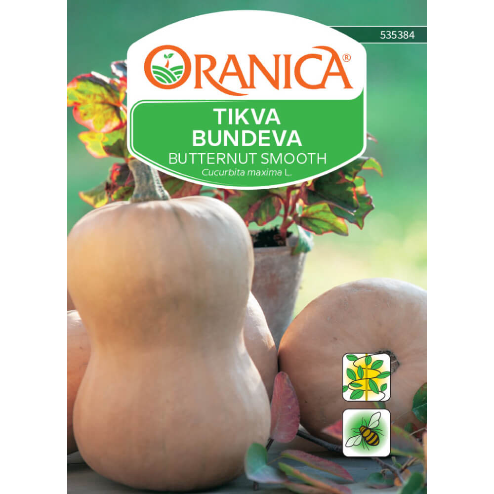 Tikva Butternut Smooth
