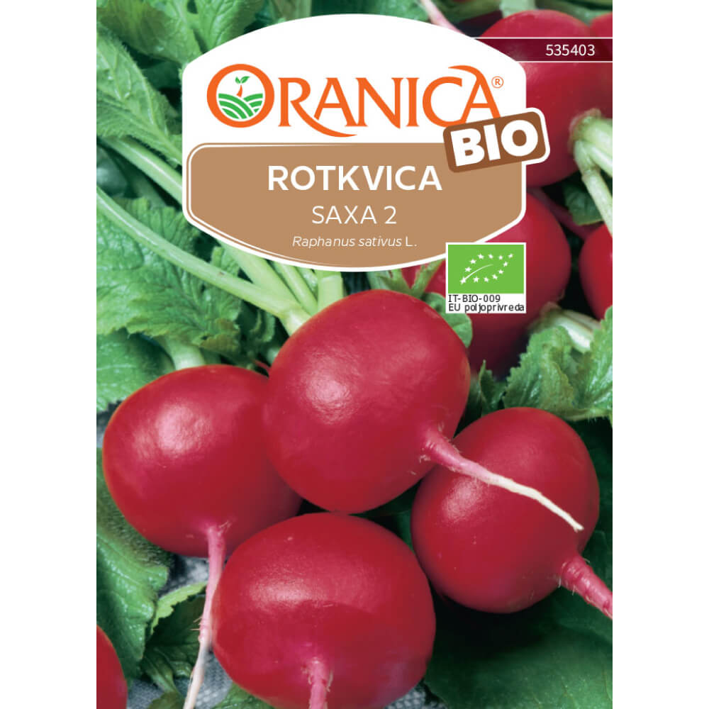 BIO rotkvica Saxa 2