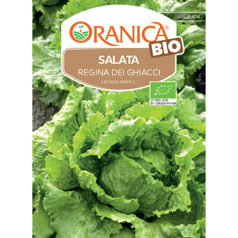Salata ledena kraljica