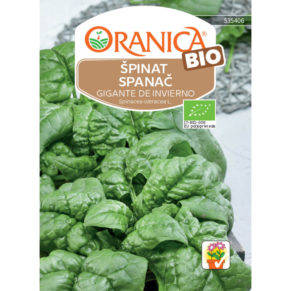 BIO špinat Gigante de Invierno