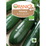 BIO Tikvica Black beauty