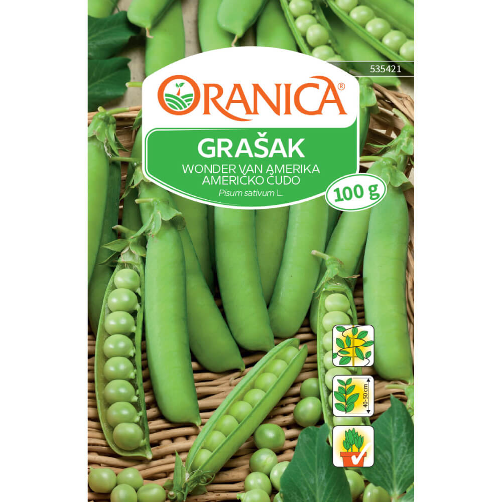 Grašak američko čudo Grašak američko čudo