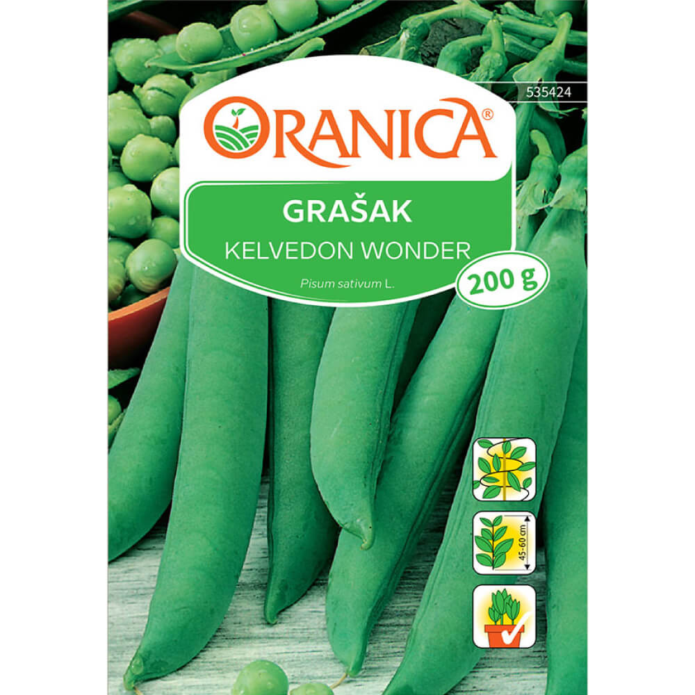 Grašak Kalvedon