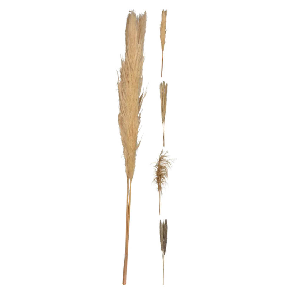 Umjetna grančica Pampas