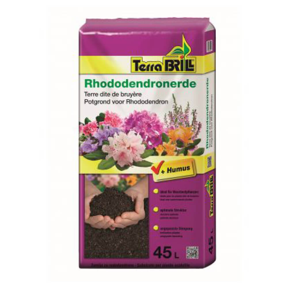 Brill Terra Rhododendronerde