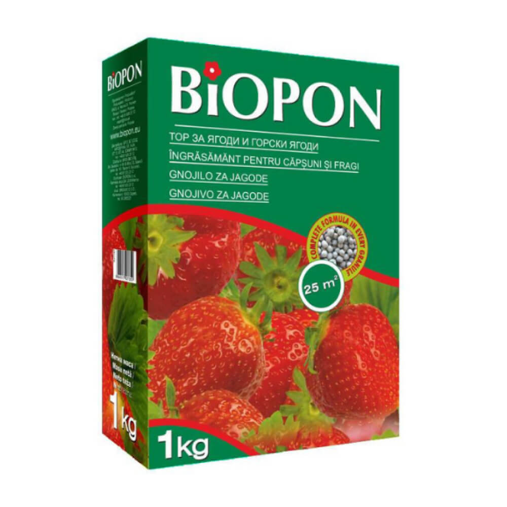 Gnojivo za jagode