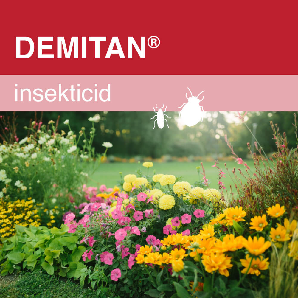 Demitan insekticid