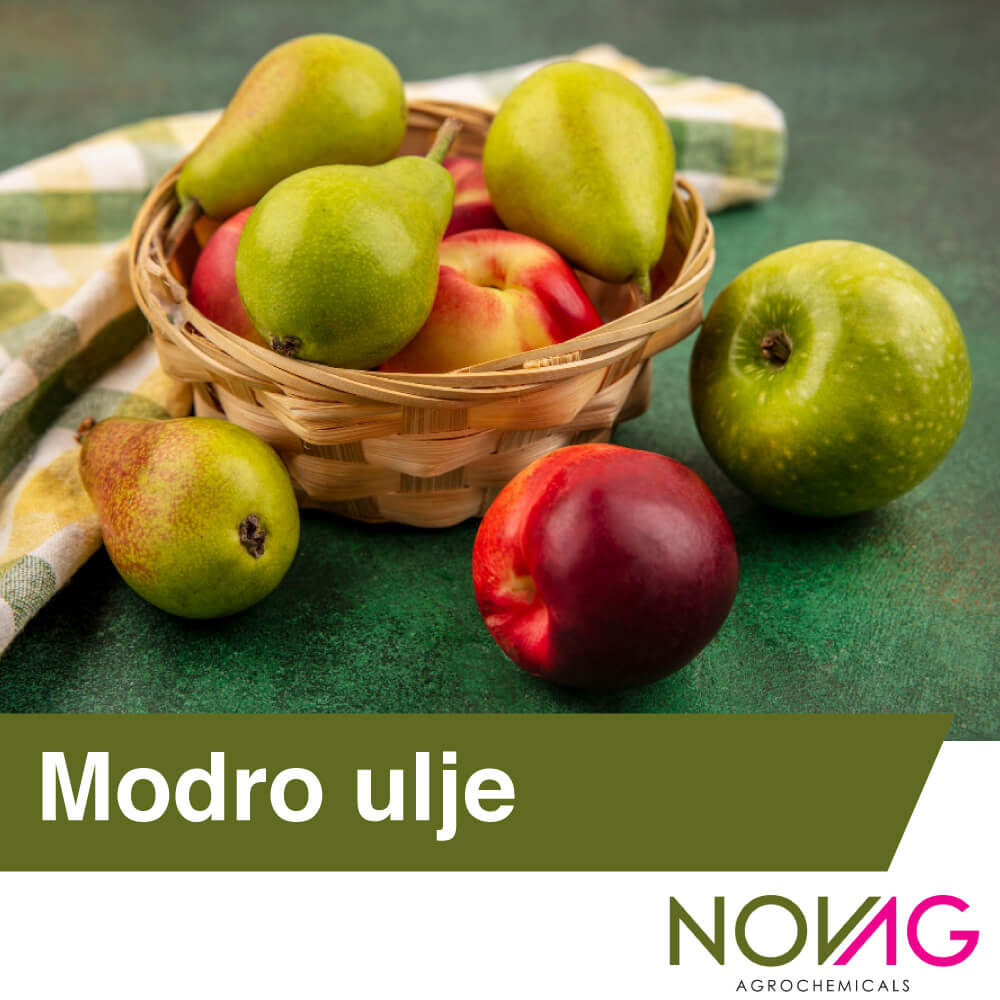 Modro ulje