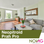 Prah Neopitroid