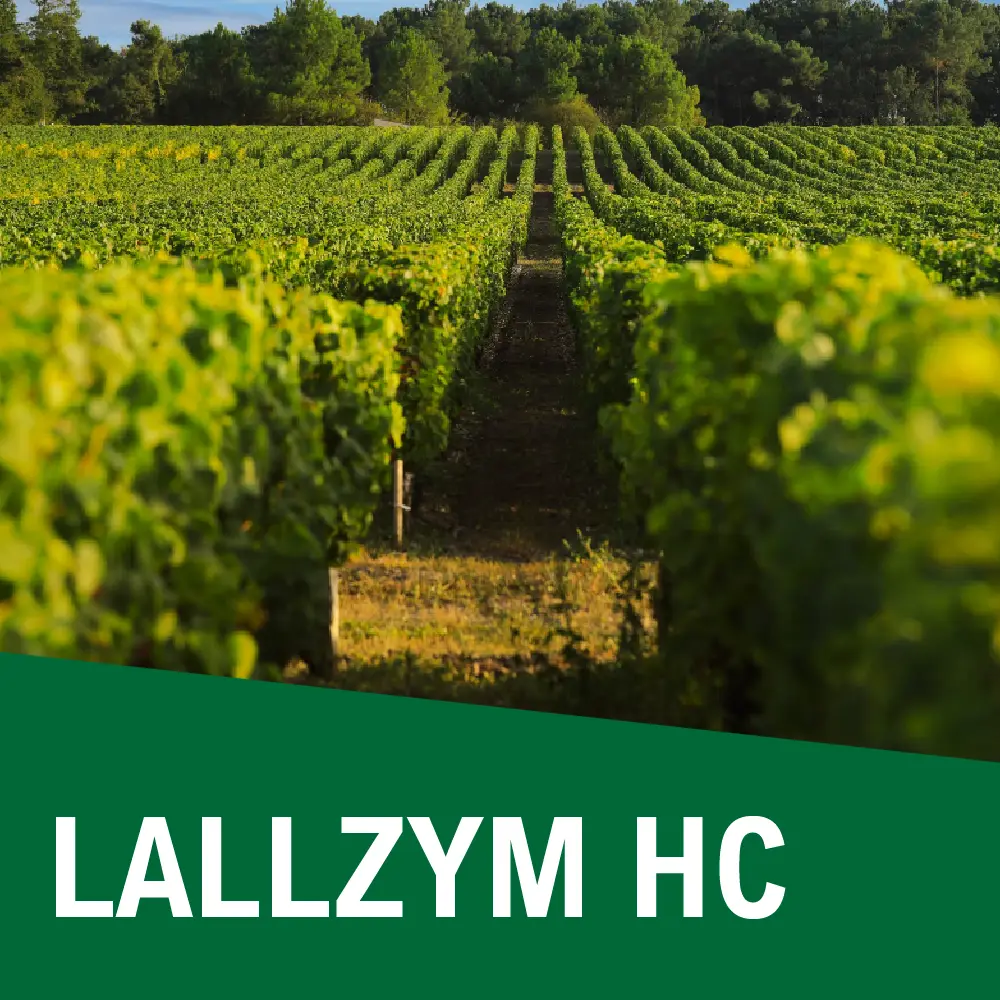 Lallzym 2,5 g HC