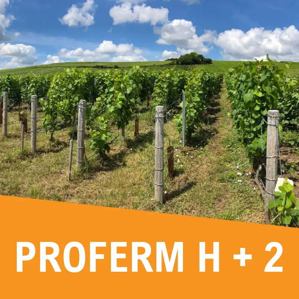 Siha Proferm H + 2