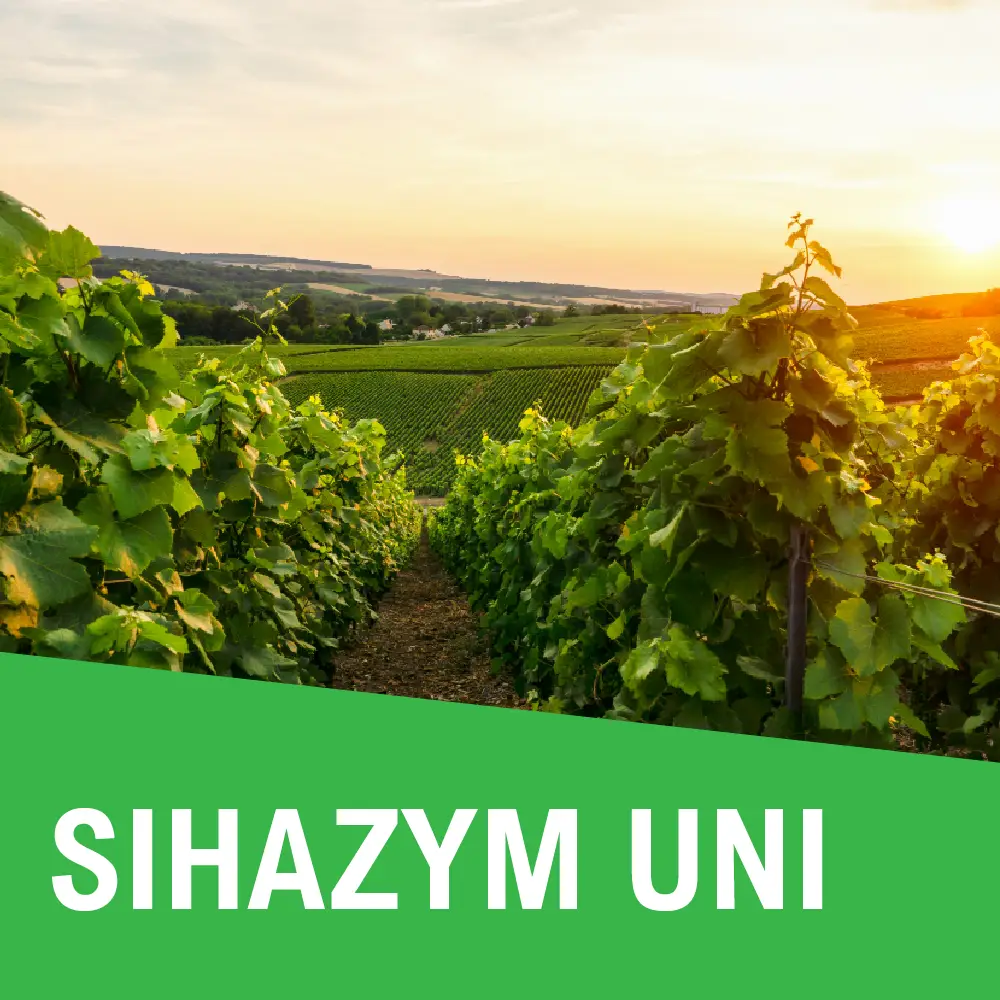 Shazym Uni