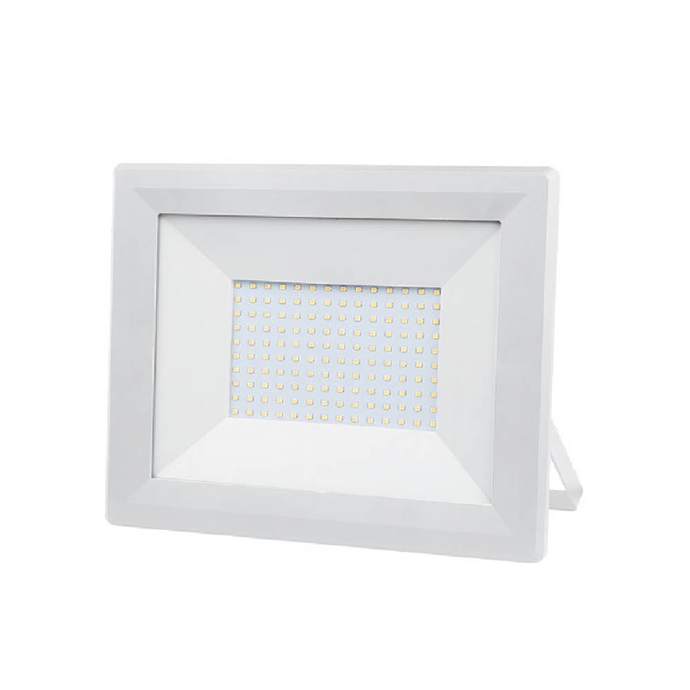 LED reflektor E-light 100W 6400K bijeli